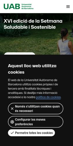 Screenshot of the audited page (Mobile 375×812)
