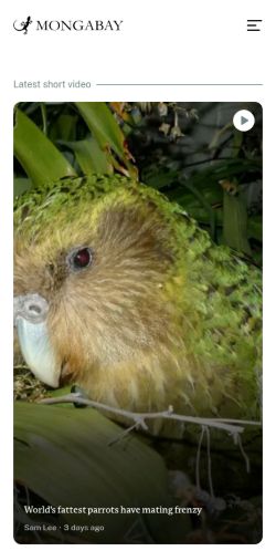 Screenshot of the audited page (Mobile 375×812)