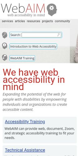 Screenshot of the audited page (Mobile 375×812)