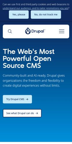 Screenshot of the audited page (Mobile 375×812)
