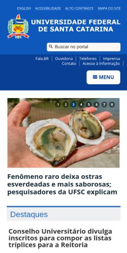 Screenshot of the audited page (Mobile 375×812)