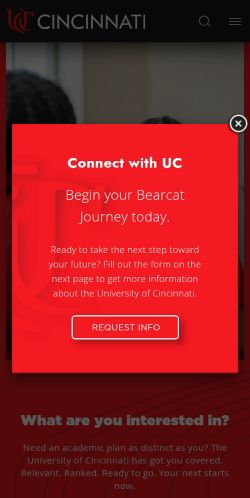 Screenshot of the audited page (Mobile 375×812)