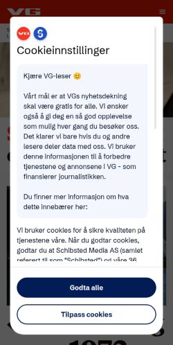 Screenshot of the audited page (Mobile 375×812)