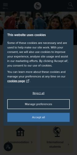 Screenshot of the audited page (Mobile 375×812)