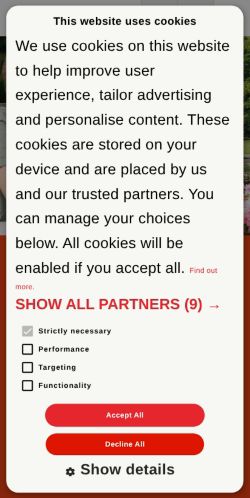 Screenshot of the audited page (Mobile 375×812)
