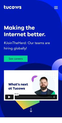 Screenshot of the audited page (Mobile 375×812)