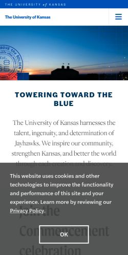 Screenshot of the audited page (Mobile 375×812)