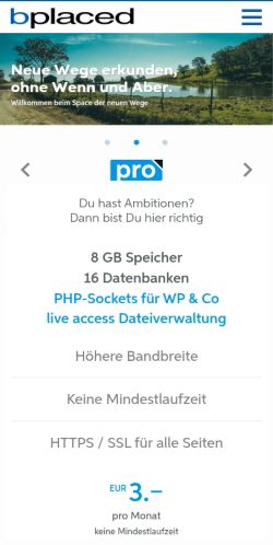 Screenshot of the audited page (Mobile 375×812)
