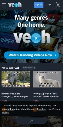 Screenshot of the audited page (Mobile 375×812)