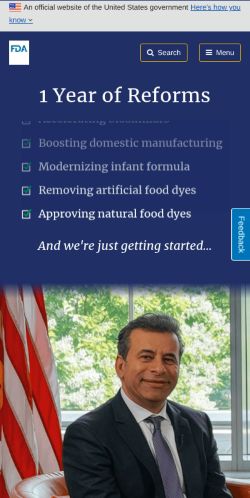 Screenshot of the audited page (Mobile 375×812)