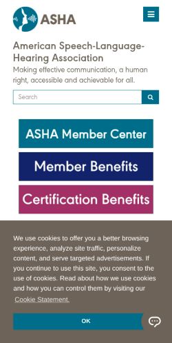 Screenshot of the audited page (Mobile 375×812)