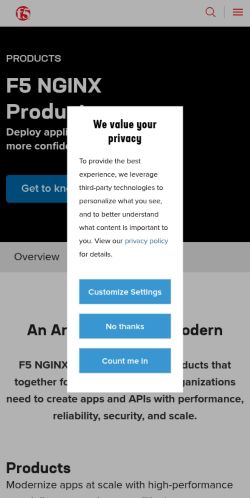 Screenshot of the audited page (Mobile 375×812)