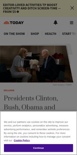 Screenshot of the audited page (Mobile 375×812)