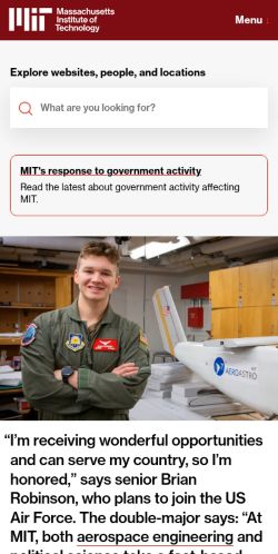 Screenshot of the audited page (Mobile 375×812)