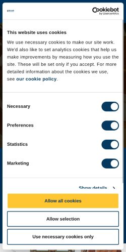 Screenshot of the audited page (Mobile 375×812)