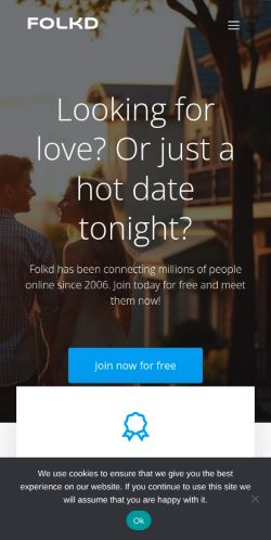 Screenshot of the audited page (Mobile 375×812)