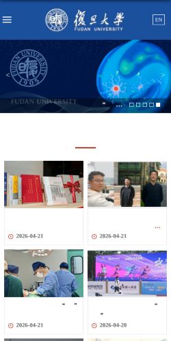 Screenshot of the audited page (Mobile 375×812)