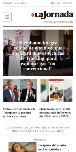 Screenshot of the audited page (Mobile 375×812)