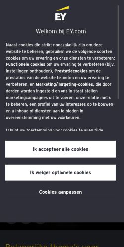 Screenshot of the audited page (Mobile 375×812)