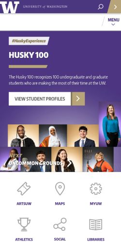 Screenshot of the audited page (Mobile 375×812)