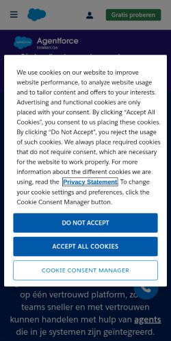 Screenshot of the audited page (Mobile 375×812)