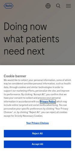 Screenshot of the audited page (Mobile 375×812)