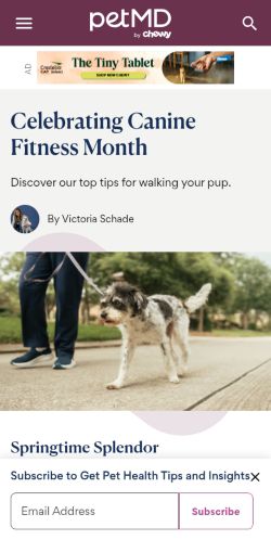 Screenshot of the audited page (Mobile 375×812)