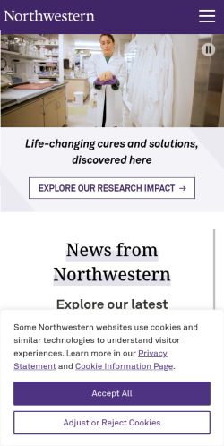 Screenshot of the audited page (Mobile 375×812)