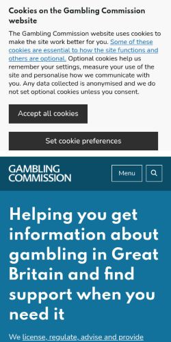 Screenshot of the audited page (Mobile 375×812)