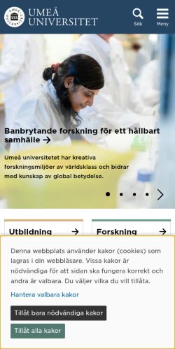 Screenshot of the audited page (Mobile 375×812)
