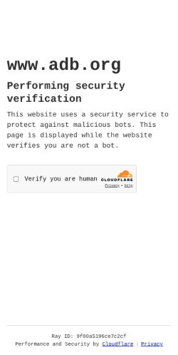 Screenshot of the audited page (Mobile 375×812)