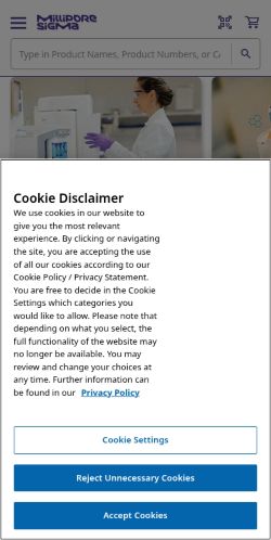 Screenshot of the audited page (Mobile 375×812)