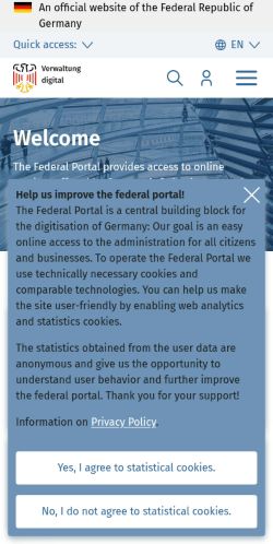 Screenshot of the audited page (Mobile 375×812)