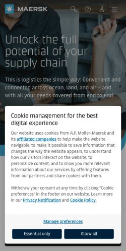 Screenshot of the audited page (Mobile 375×812)