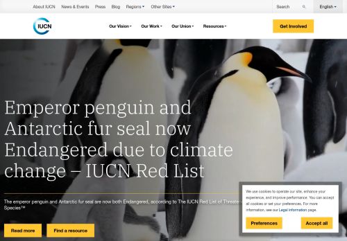 Screenshot of the audited page (Desktop 1440×900)