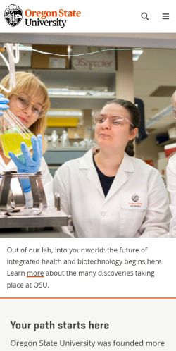 Screenshot of the audited page (Mobile 375×812)