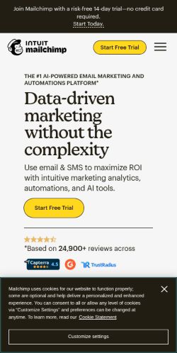 Screenshot of the audited page (Mobile 375×812)