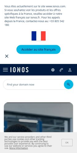 Screenshot of the audited page (Mobile 375×812)