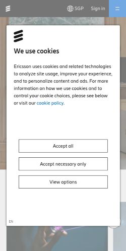 Screenshot of the audited page (Mobile 375×812)