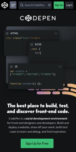 Screenshot of the audited page (Mobile 375×812)