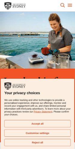 Screenshot of the audited page (Mobile 375×812)