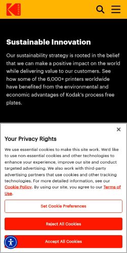 Screenshot of the audited page (Mobile 375×812)