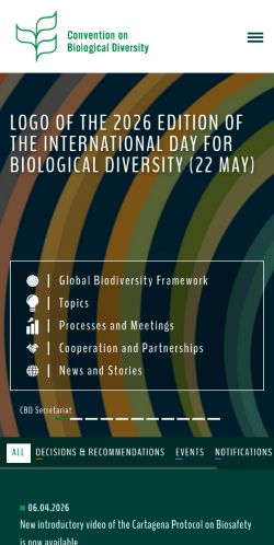 Screenshot of the audited page (Mobile 375×812)