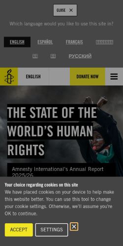 Screenshot of the audited page (Mobile 375×812)