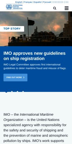 Screenshot of the audited page (Mobile 375×812)