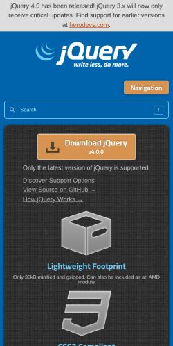 Screenshot of the audited page (Mobile 375×812)