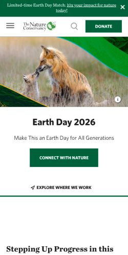 Screenshot of the audited page (Mobile 375×812)