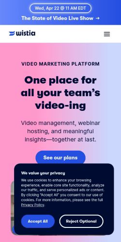 Screenshot of the audited page (Mobile 375×812)