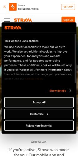 Screenshot of the audited page (Mobile 375×812)