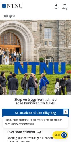 Screenshot of the audited page (Mobile 375×812)